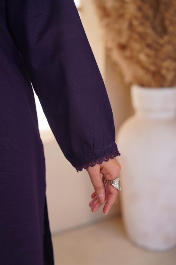 DSC04671 Shabnoor Purple Co-ord Set - Elegant 2-Piece Daily Wear