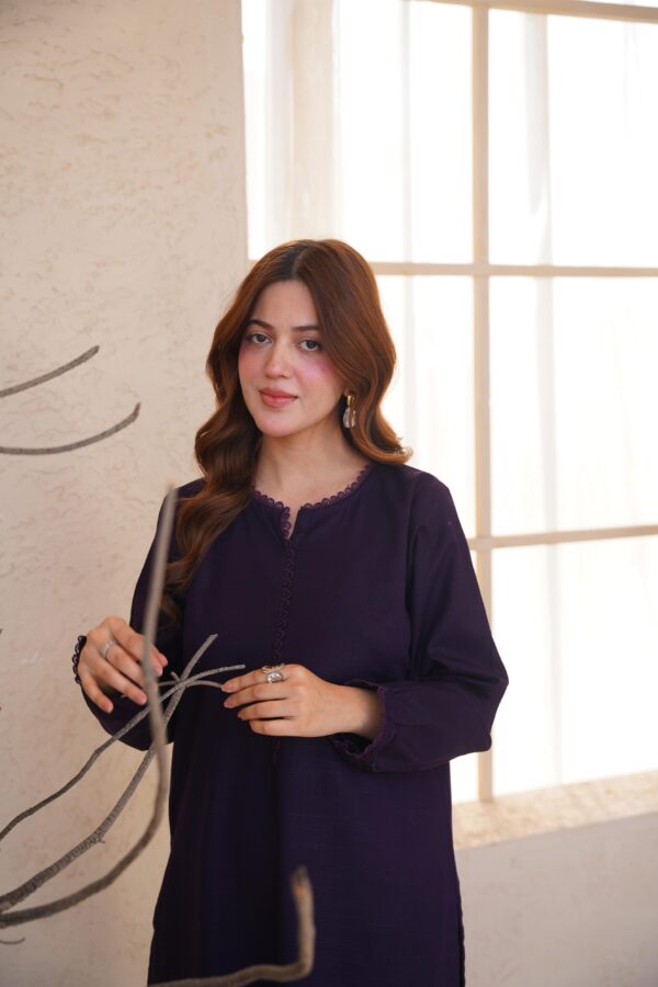 DSC04674 Shabnoor Purple Co-ord Set - Elegant 2-Piece Daily Wear
