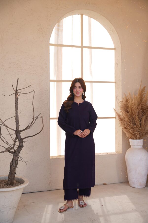 DSC04684 Shabnoor Purple Co-ord Set - Elegant 2-Piece Daily Wear