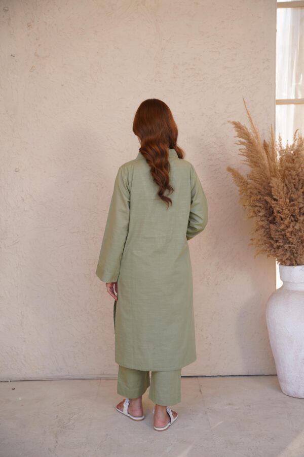 Noor Saaz: Light in Bloom